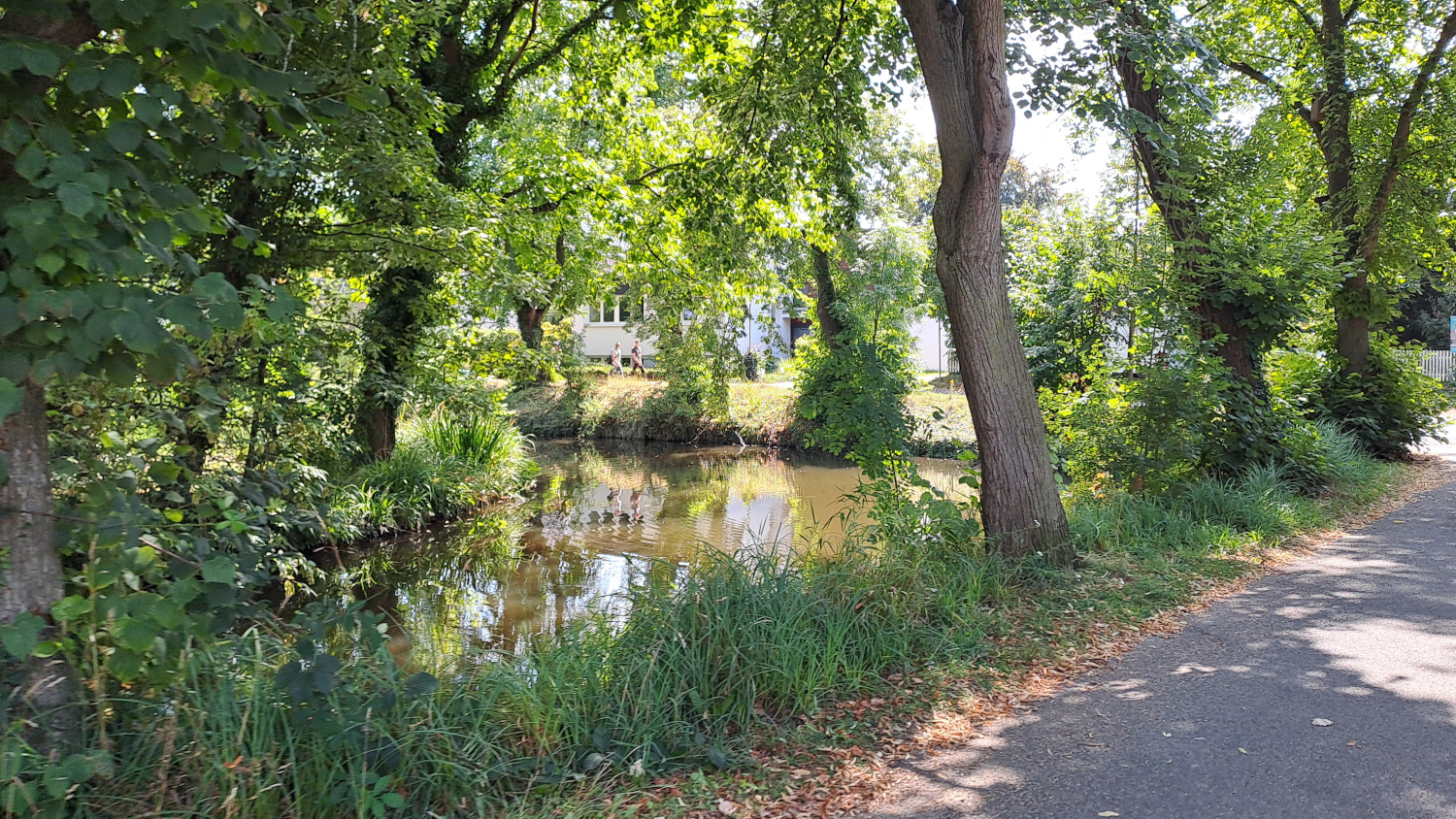 Erftstadt